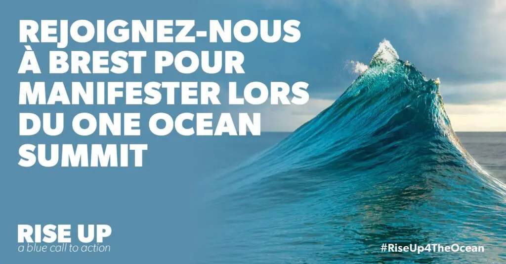 Participants at a Rise Up For The Ocean event