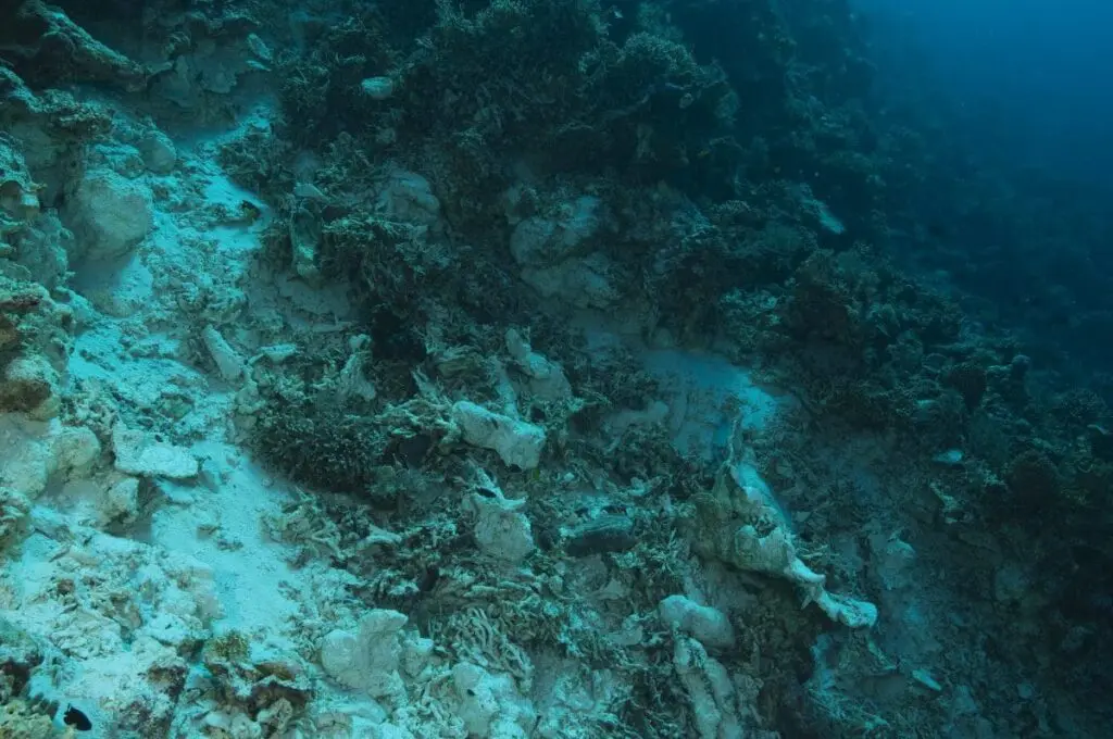 Destroyed coral reef with rubble and broken coral fragments on the seafloor