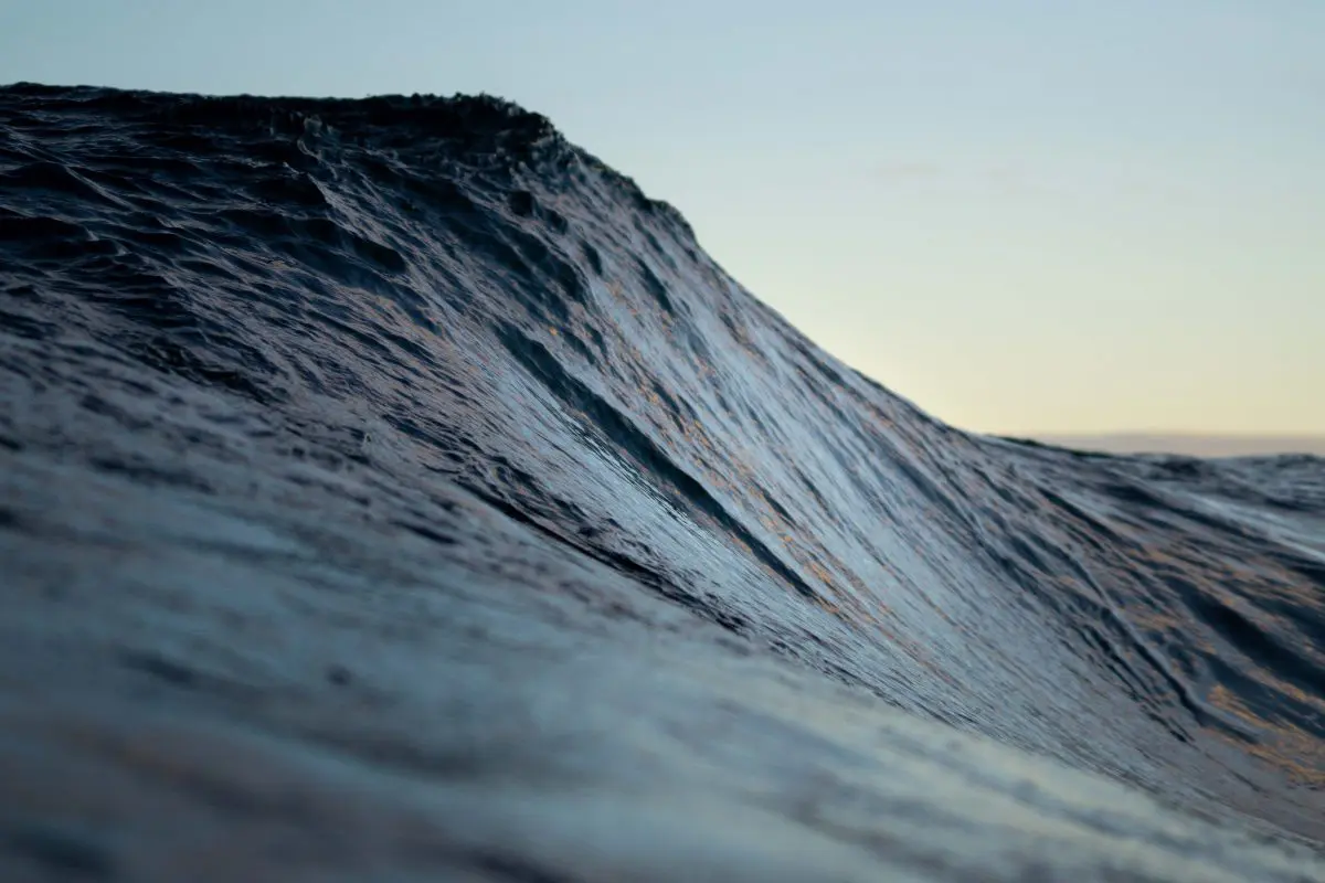 Early Growth: Building a global network for ocean action