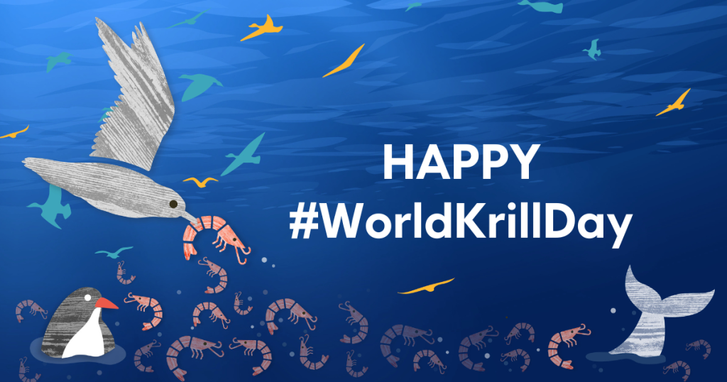 'Happy #WorldKrillDay' social media graphic.