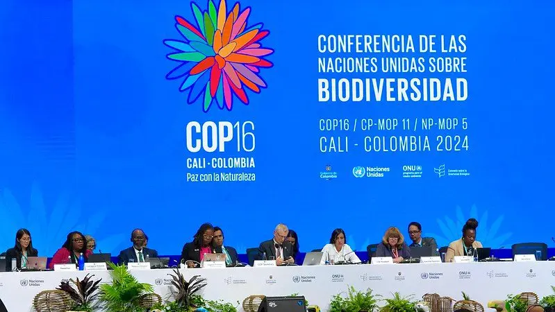 Delegates at a panel during COP16 Biodiversity Conference in Cali, Colombia