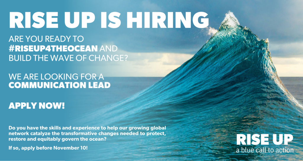 Rise Up hiring flyer for Communication Lead position