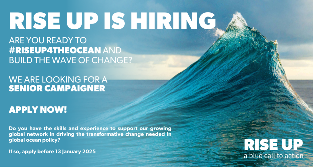Rise Up hiring flyer for Senior Campaigner position