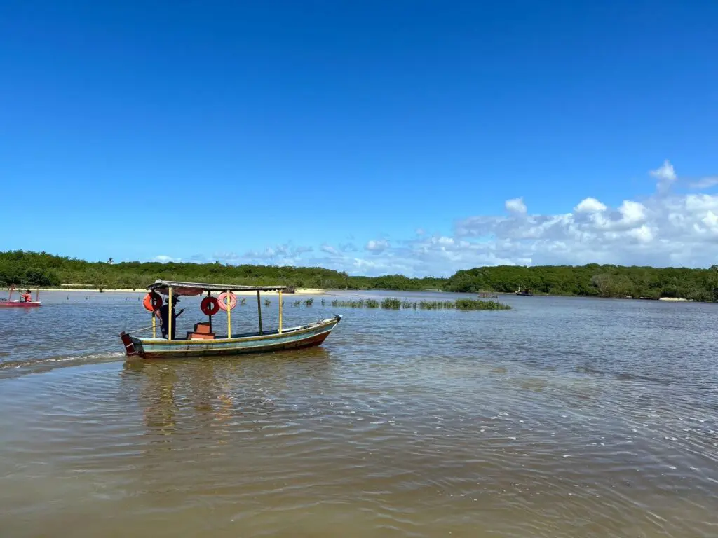 A small wooden boat with a canopy on a calm brown river bordered by mangroves.