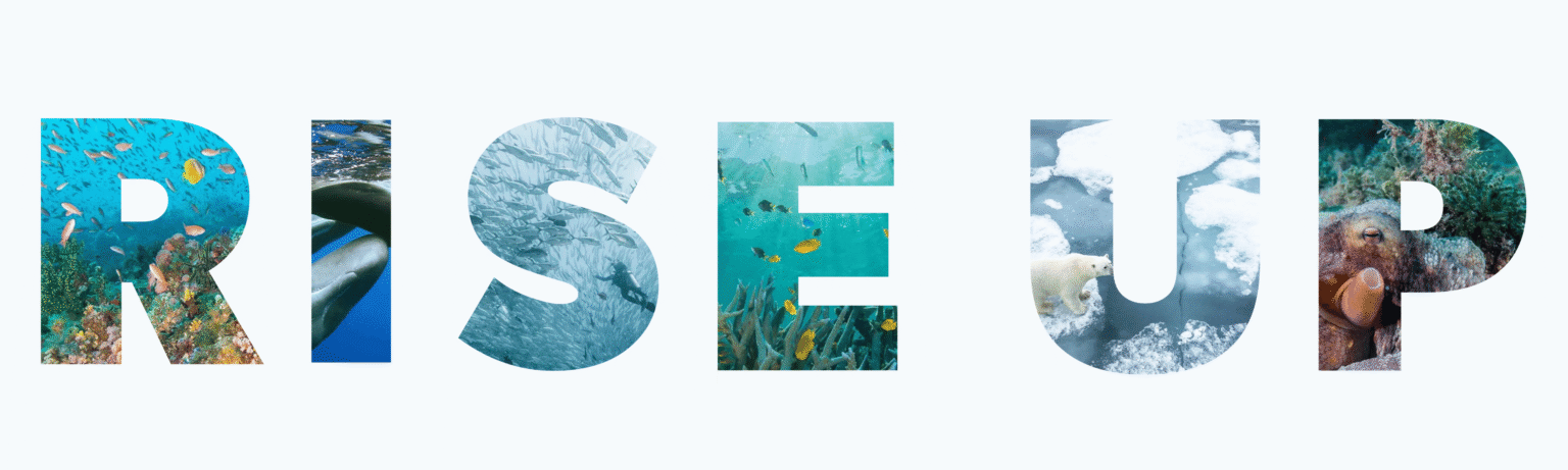 RISE UP logo with the letters filled with ocean and marine wildlife imagery.
