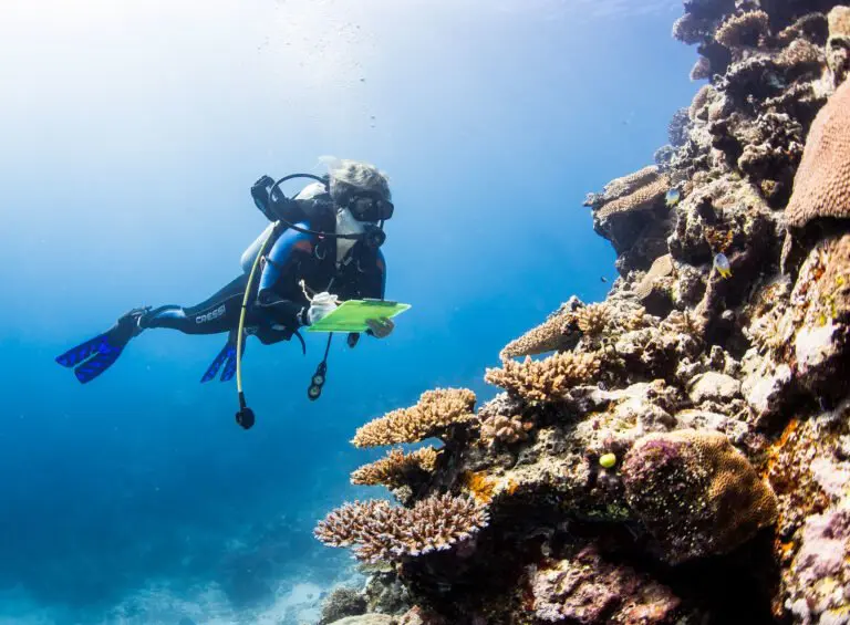 A scuba diver next to a coral reef underwater