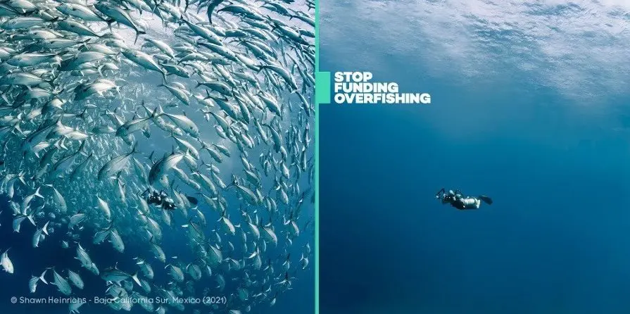 "Stop Funding Overfishing" campaign graphic with underwater imagery