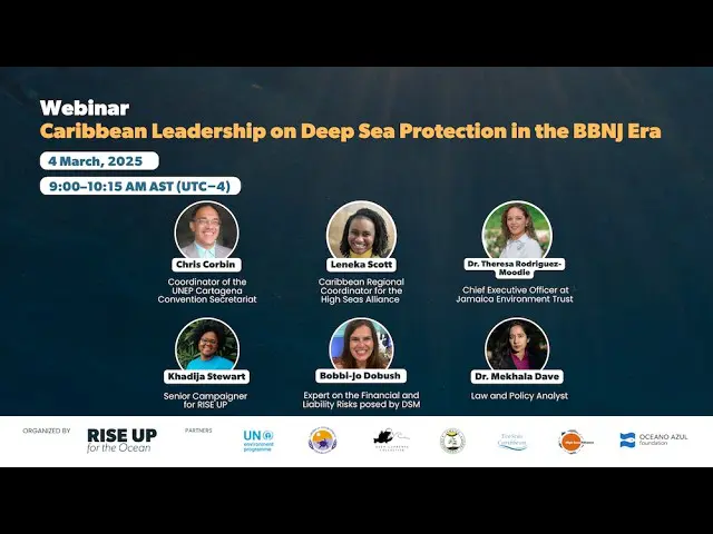 Caribbean Leadership on Deep Sea Protection in the BBNJ Era — webinar thumbnail