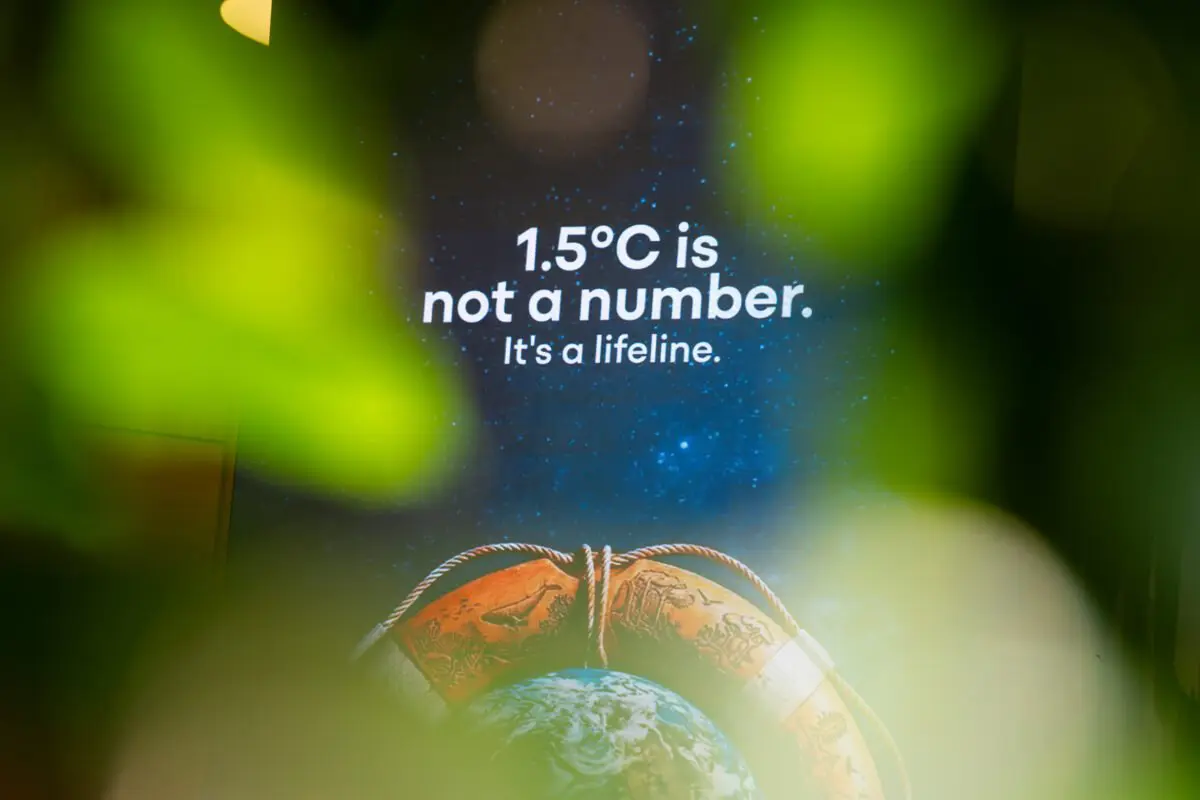 Screen reading 1.5 degrees C is not a number It is a lifeline seen through foliage