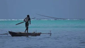 A fisher stands on a dugout outrigger canoe holding a spear over turquoise water