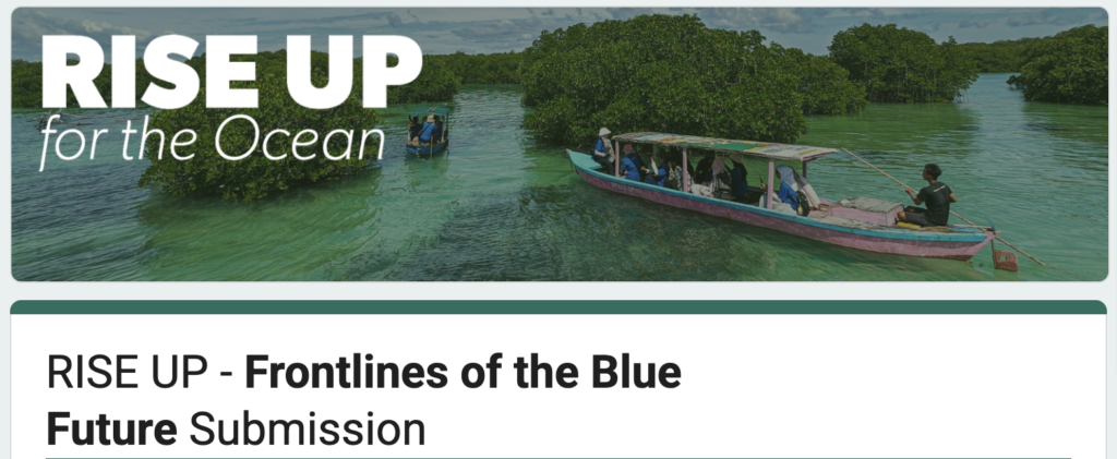 Header of the RISE UP “Frontlines of the Blue Future” submission form, showing the RISE UP for the Ocean logo over a photograph of people traveling by boat through mangroves.