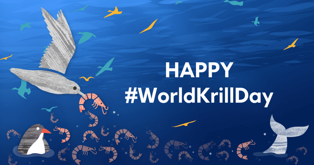 'Happy #WorldKrillDay' social media graphic.