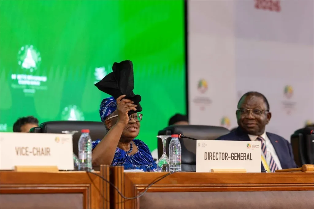 A delegate raises her hat at a ministerial conference table beside Director-General and Vice-Chair nameplates