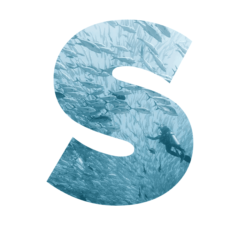 Decorative letter 'S' filled with a photo of a diver among schooling fish (RISE UP branding)