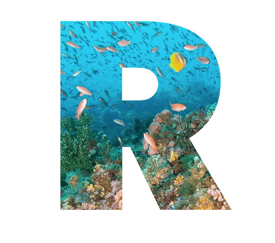 Decorative letter 'R' filled with a coral-reef photo (RISE UP branding)