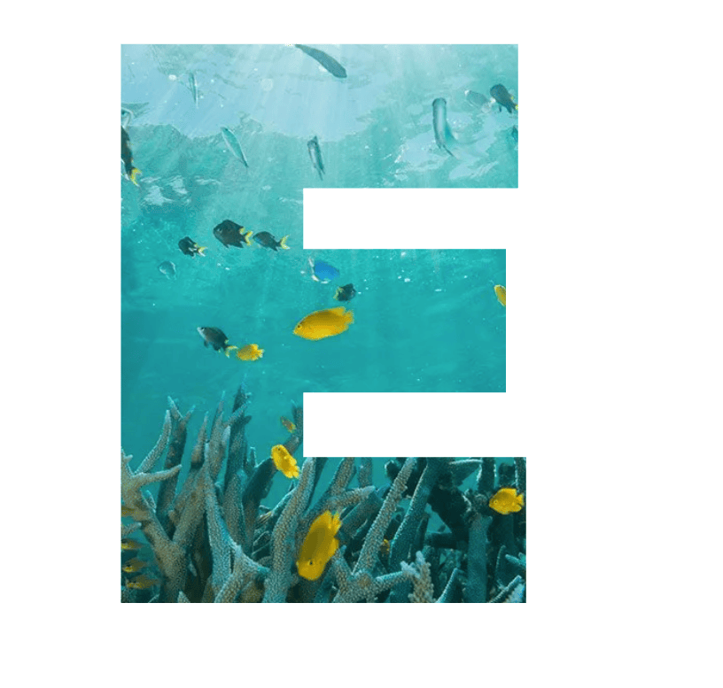 Decorative letter 'E' filled with a coral-reef photo (RISE UP branding)