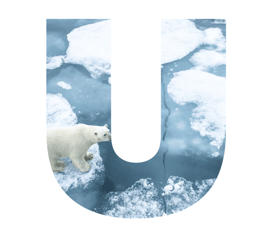 Decorative letter 'U' filled with a photo of a polar bear on sea ice (RISE UP branding)