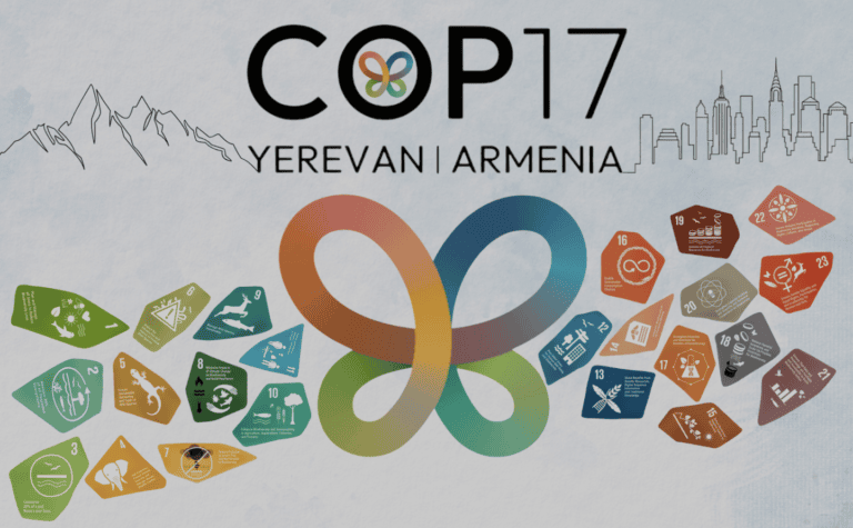 CBD COP17